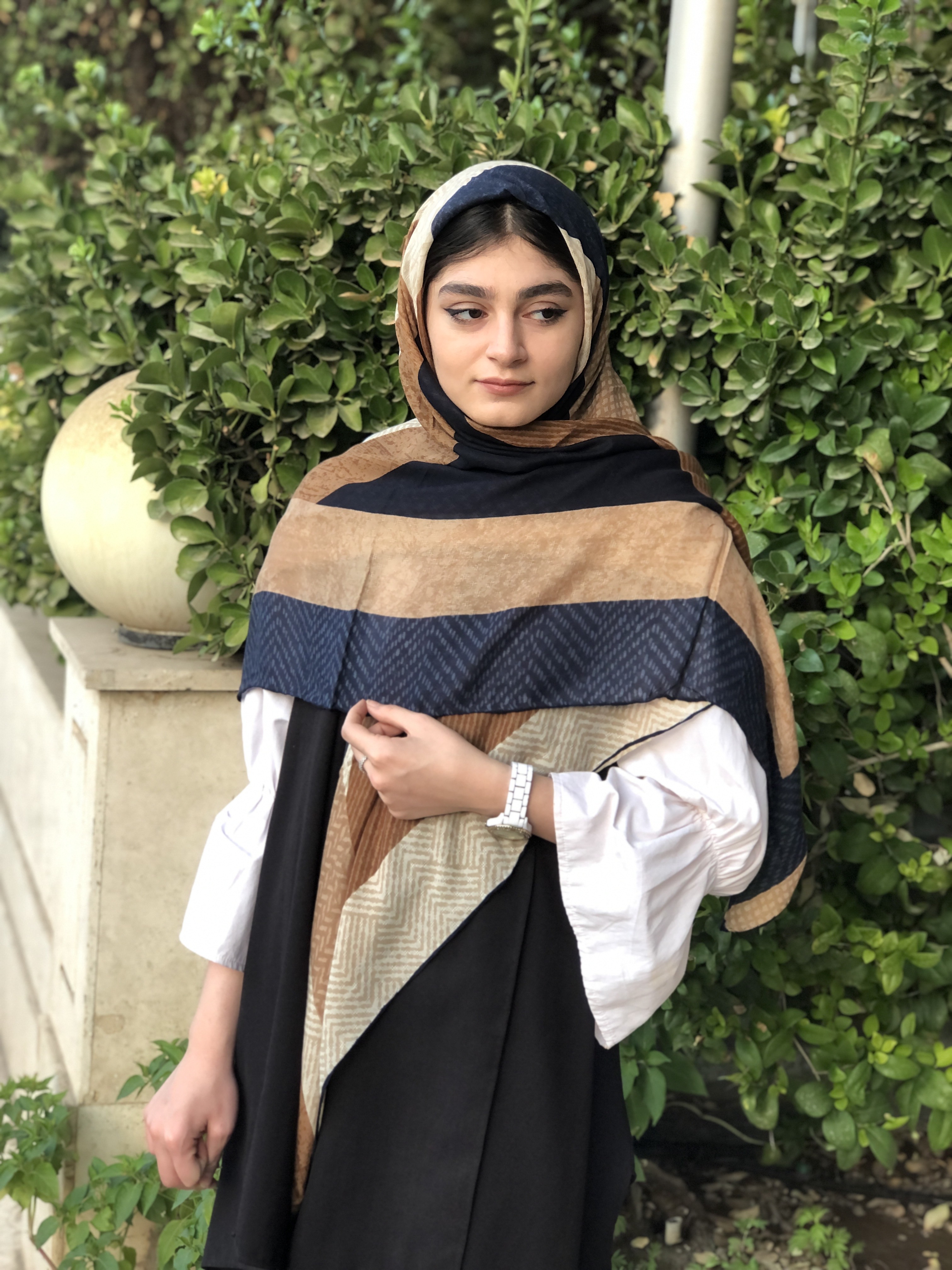 تصویر۳